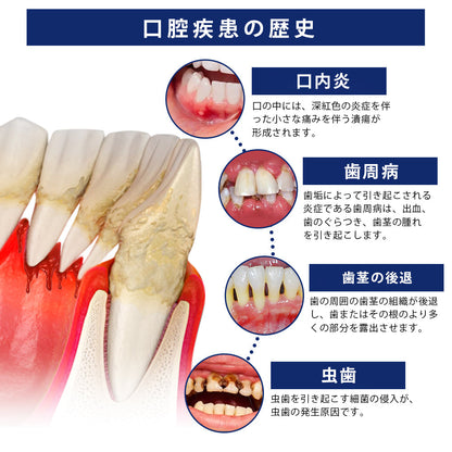 🛡️CleraNaure® BeeTakt 蜂毒デンタルトリートメントドロップ洗口液💧